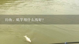 钓鱼，矶竿用什么线好？