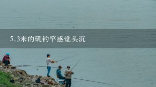 5.3米的矶钓竿感觉头沉