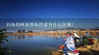 钓鱼的阿波漂和浮漂有什么区别？