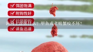 渔网上涂抹什么？甲鱼或者螃蟹咬不坏？