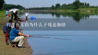 钓青鱼无铅为什么子线还加铅