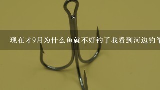 现在才9月为什么鱼就不好钓了我看到河边钓竿有1百多把矶竿和海竿1条鱼也没钓到