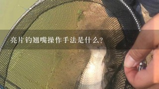 亮片钓翘嘴操作手法是什么？