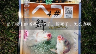 豆子棵上缠着些菟丝子，烦死了，怎么办啊