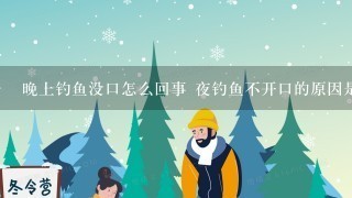 晚上钓鱼没口怎么回事 夜钓鱼不开口的原因是什么