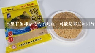 水里有鱼却总是钓不到鱼，可能是哪些原因导致的？