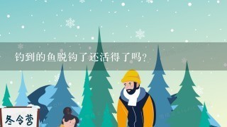 钓到的鱼脱钩了还活得了吗？