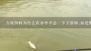 方块饵料为什么在水中不会1下子溶掉,而是慢慢的雾