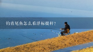 钓青尾鱼怎么看浮标提杆？