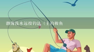 渤海浅水远投钓法（主钓梭鱼