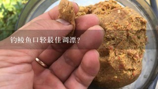 钓鲮鱼口轻最佳调漂？