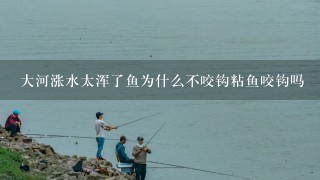 大河涨水太浑了鱼为什么不咬钩粘鱼咬钩吗