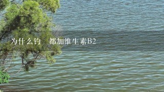 为什么钓魚都加维生素B2