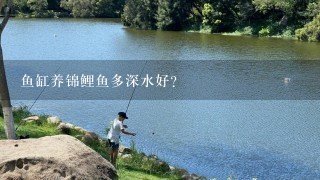 鱼缸养锦鲤鱼多深水好？