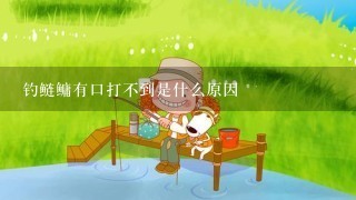 钓鲢鳙有口打不到是什么原因