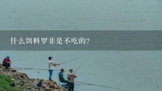 什么饵料罗非是不吃的？