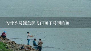 为什么是鲤鱼跃龙门而不是别的鱼