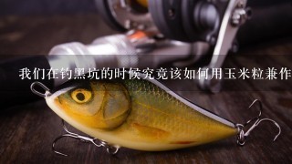 我们在钓黑坑的时候究竟该如何用玉米粒兼作诱钓及钓