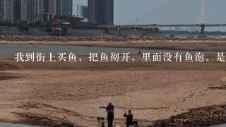 我到街上买鱼，把鱼彻开，里面没有鱼泡。是什么意思