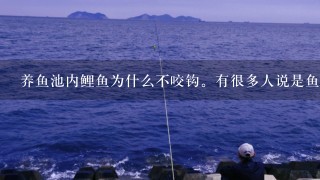 养鱼池内鲤鱼为什么不咬钩。有很多人说是鱼塘老板用什么禁口药了，会不会是真的?