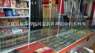 立夏只有几天时间怎么在湖泊中钓不到鱼