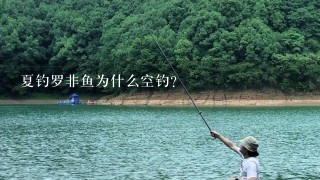 夏钓罗非鱼为什么空钓？