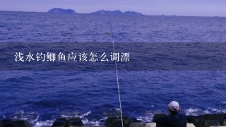 浅水钓鲫鱼应该怎么调漂