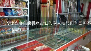 为什么电鱼能将攻击它的敌人电死而自己却不被电死