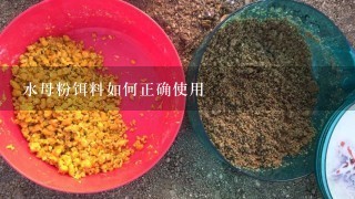 水母粉饵料如何正确使用