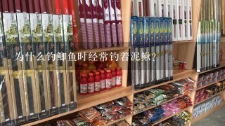 为什么钓鲫鱼时经常钓着泥鳅?