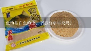 鱼钩挂在鱼的上、下唇有啥讲究吗？