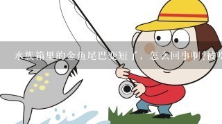 水族箱里的金鱼尾巴变短了，怎么回事啊?被吃了？被水腐蚀了？生病了？