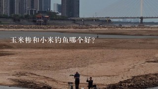 玉米糁和小米钓鱼哪个好？