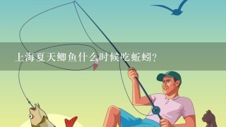 上海夏天鲫鱼什么时候吃蚯蚓？