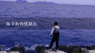 海夕鱼钩优缺点