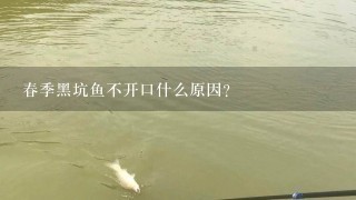 春季黑坑鱼不开口什么原因？