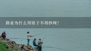 路亚为什么用钳子不用抄网？