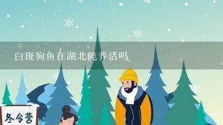 白斑狗鱼在湖北能养活吗