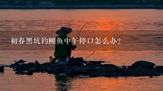 初春黑坑钓鲤鱼中午停口怎么办？