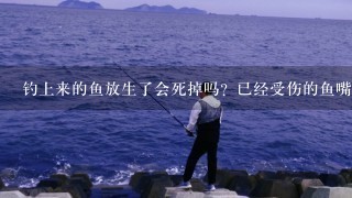 钓上来的鱼放生了会死掉吗？已经受伤的鱼嘴会不会腐烂致死？