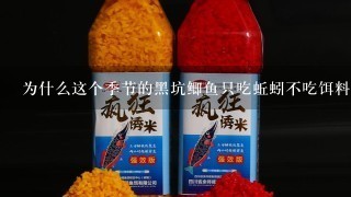 为什么这个季节的黑坑鲫鱼只吃蚯蚓不吃饵料？