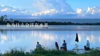 鱼为什么会浮在水里