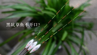 黑坑草鱼不开口？