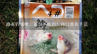 路亚钓翘嘴，追饵不吃饵？窍门贵在手法