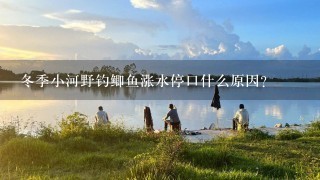 冬季小河野钓鲫鱼涨水停口什么原因？