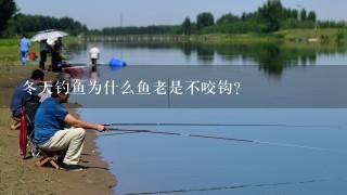 冬天钓鱼为什么鱼老是不咬钩？