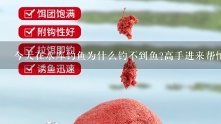 今天在水库钓鱼为什么钓不到鱼?高手进来帮忙解答!200分