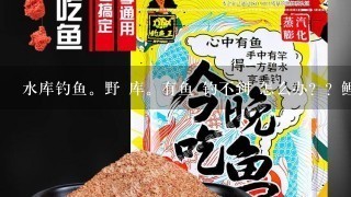 水库钓鱼。野 库。有鱼 钓不到 怎么办？？鲤鱼，