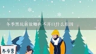 冬季黑坑新放鲫鱼不开口什么原因