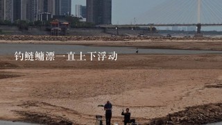 钓鲢鳙漂1直上下浮动